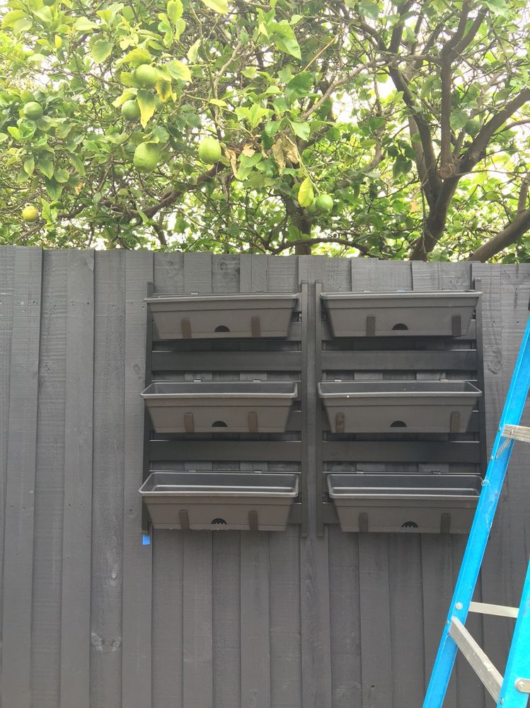 IMG_6602.JPG IMG_6602.JPG