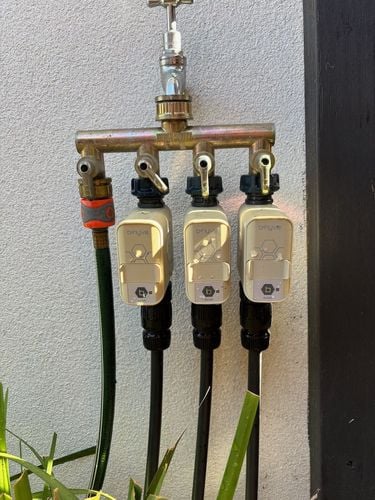 IMG_4920.jpeg IMG_4920.jpeg