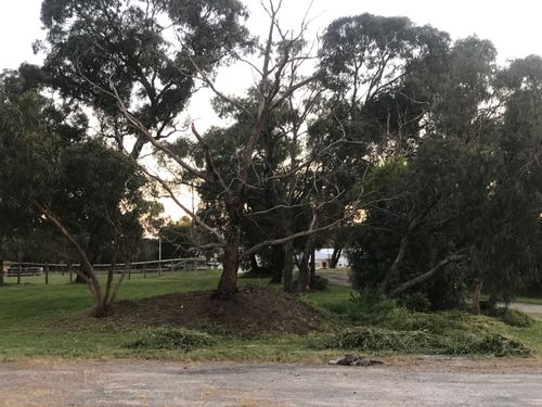 21993188-5E33-4581-8855-8FFFABEE2F90.jpeg 21993188-5E33-4581-8855-8FFFABEE2F90.jpeg