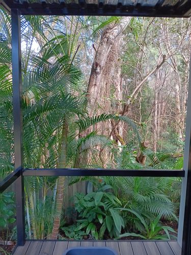 1000010022.jpg 1000010022.jpg