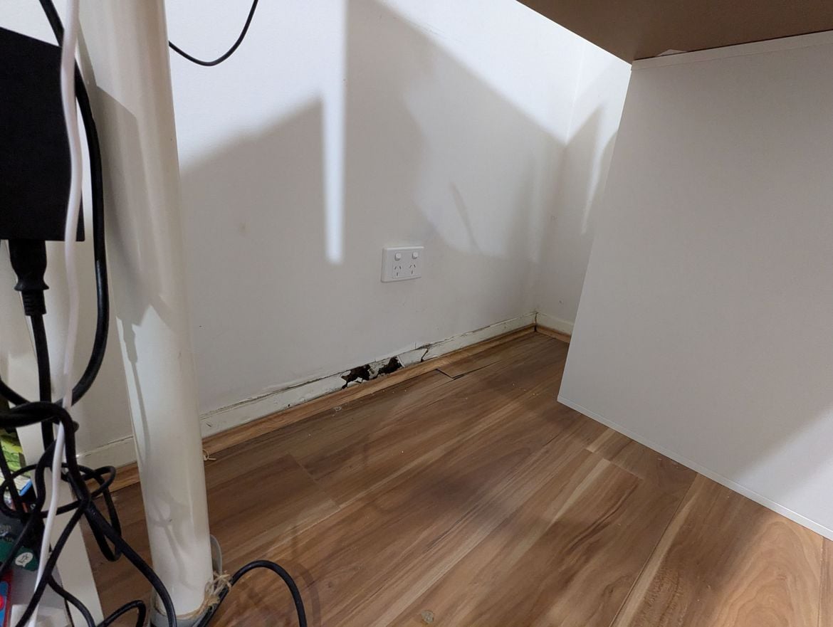 PXL_20260119_204027975.jpg PXL_20260119_204027975.jpg