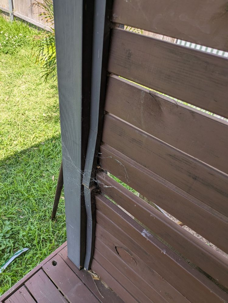 1000023310.jpeg 1000023310.jpeg