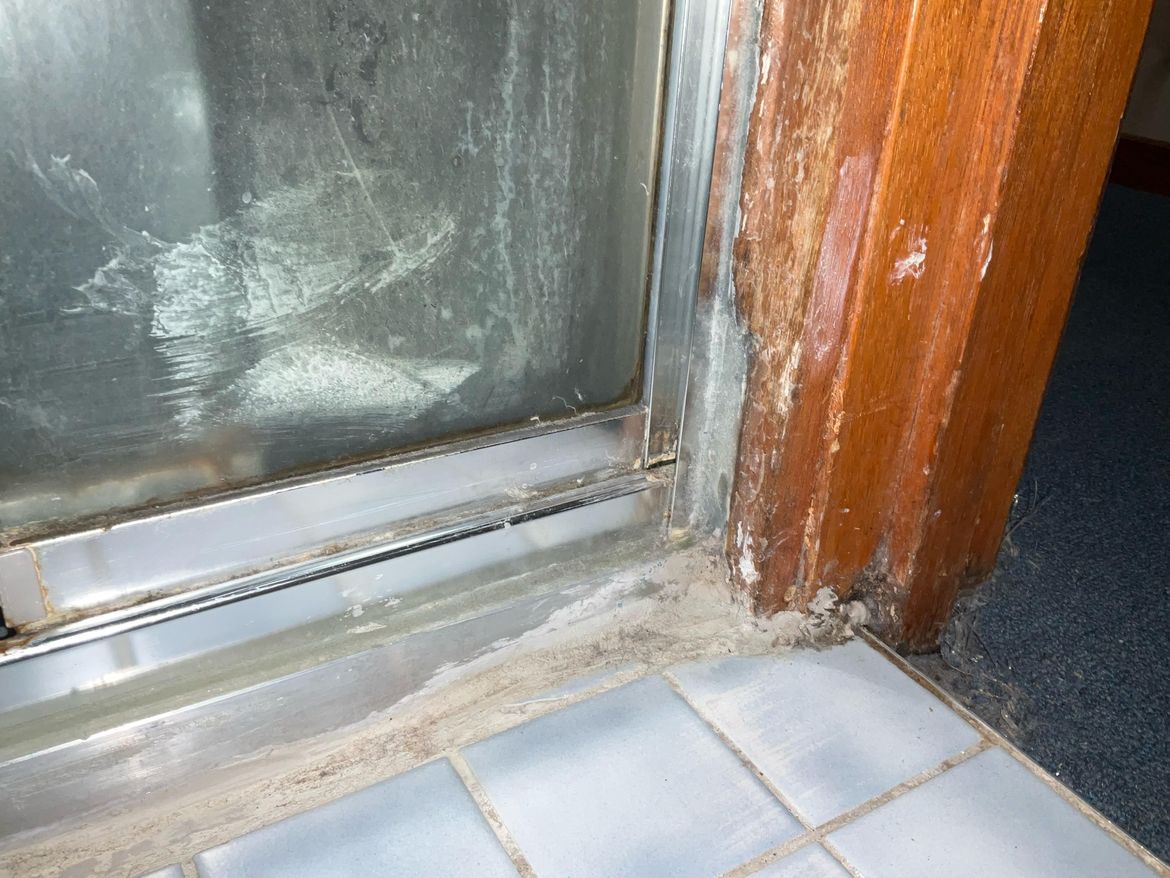 WhatsApp Image 2025-03-08 at 01.22.09.jpeg WhatsApp Image 2025-03-08 at 01.22.09.jpeg