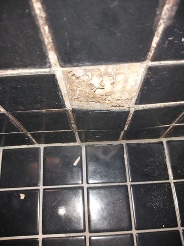 20240409_144201.jpg 20240409_144201.jpg