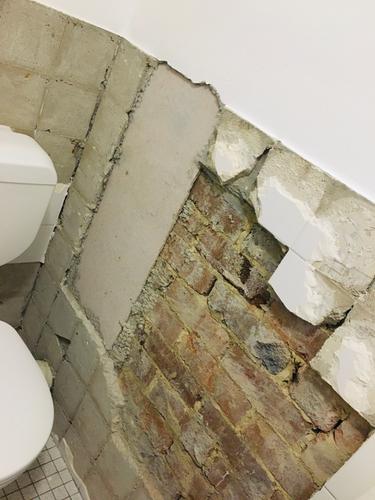 D55D94FB-C74B-4CC9-87EA-F169D6060FE7.jpeg D55D94FB-C74B-4CC9-87EA-F169D6060FE7.jpeg