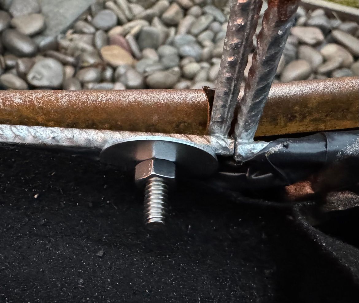 IMG_9854.jpg IMG_9854.jpg