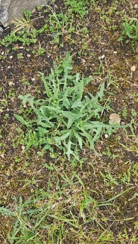 1000011494.jpg 1000011494.jpg