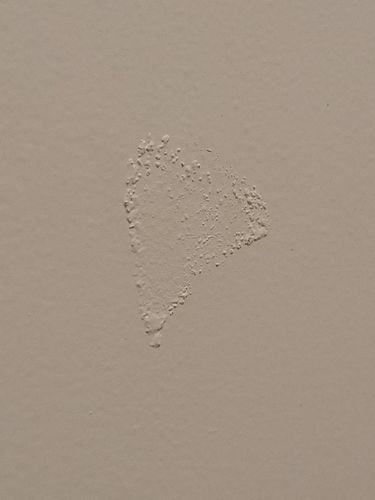 1000014201.jpg 1000014201.jpg