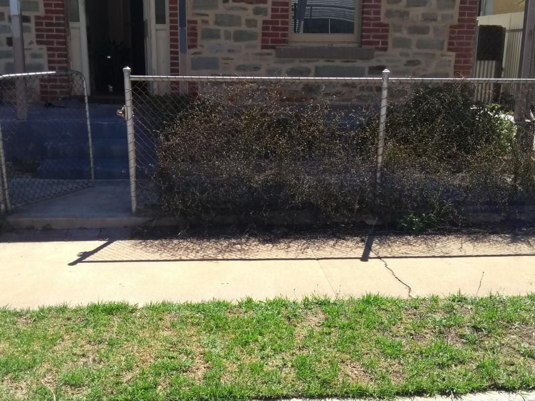 thumbnail (4).jpg thumbnail (4).jpg