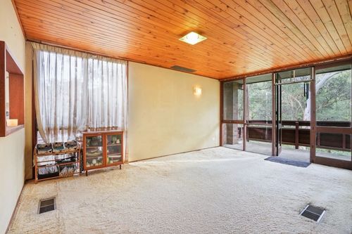 IMG_8736.jpeg IMG_8736.jpeg