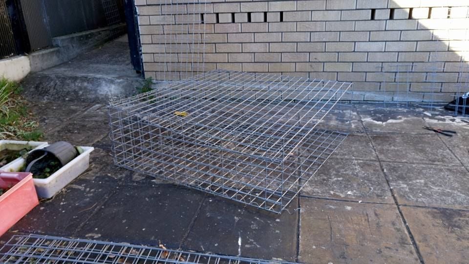 22-07-2017e.jpg 22-07-2017e.jpg