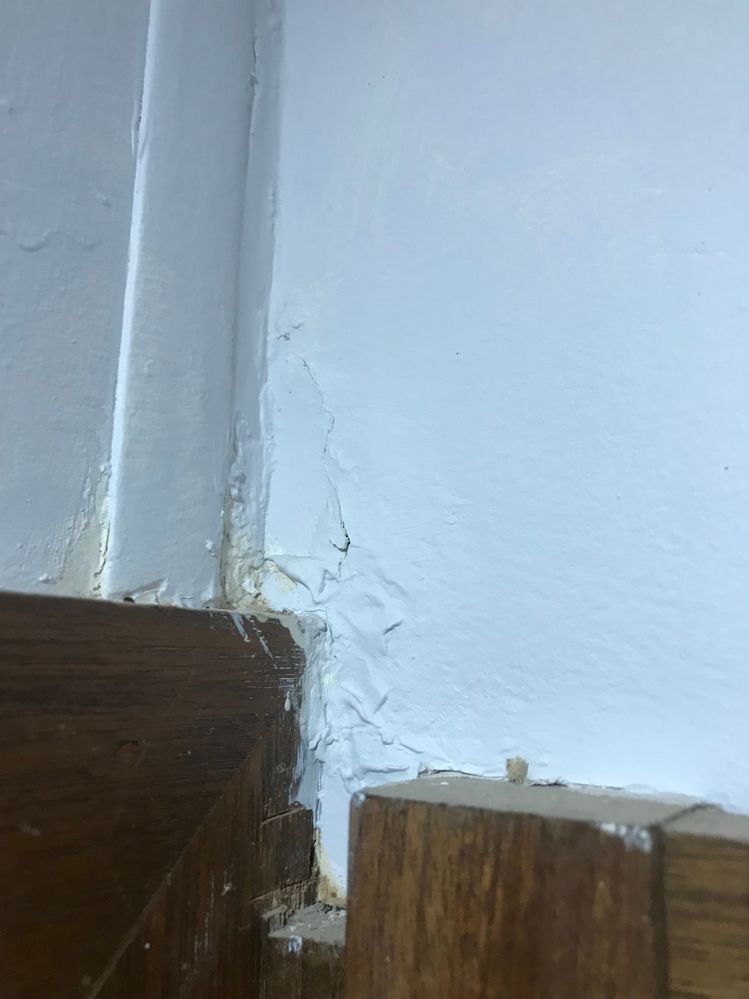 641A233E-3AC4-44D1-941B-DF20E384D39C.jpeg 641A233E-3AC4-44D1-941B-DF20E384D39C.jpeg