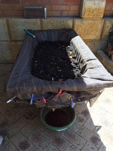 CAA6206F-817B-4293-BE90-EC5E86AC619F.jpeg CAA6206F-817B-4293-BE90-EC5E86AC619F.jpeg