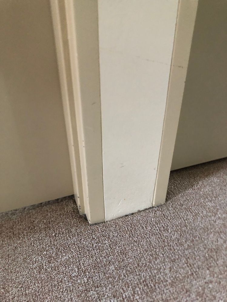 IMG_4936.jpg IMG_4936.jpg