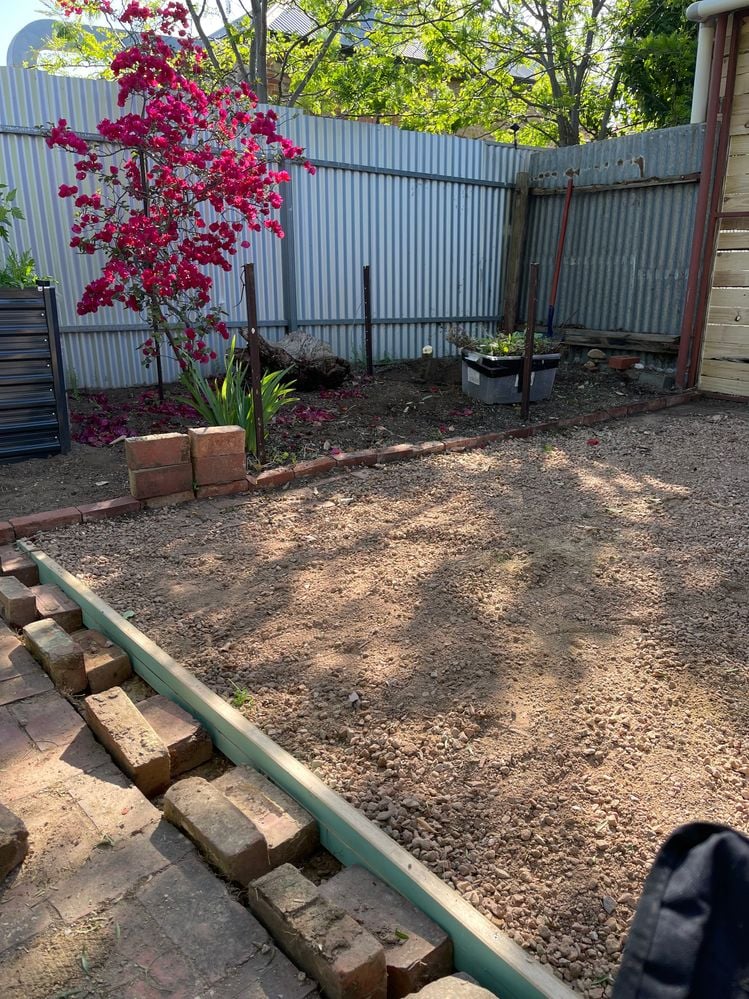 IMG_7120.jpeg IMG_7120.jpeg