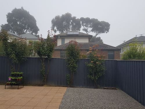 20210710_085558.jpg 20210710_085558.jpg