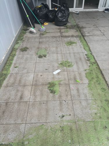 IMG_0808.jpeg IMG_0808.jpeg