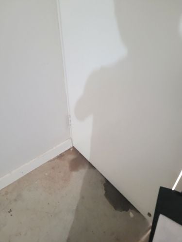 20251214_092024.jpg 20251214_092024.jpg