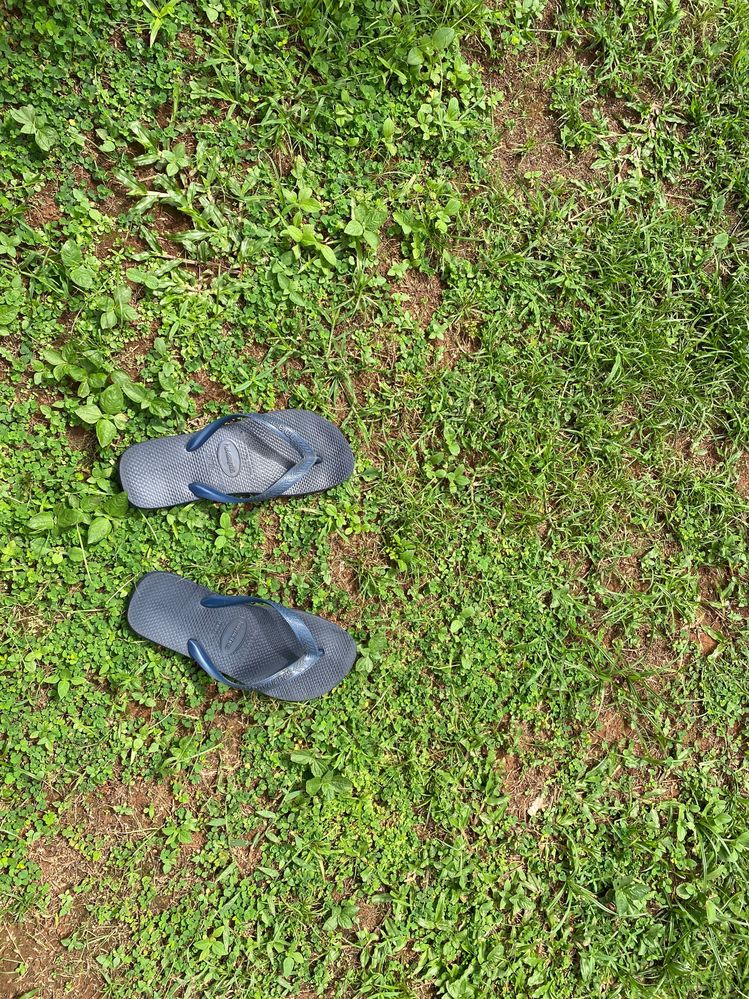 IMG_0606.jpg IMG_0606.jpg