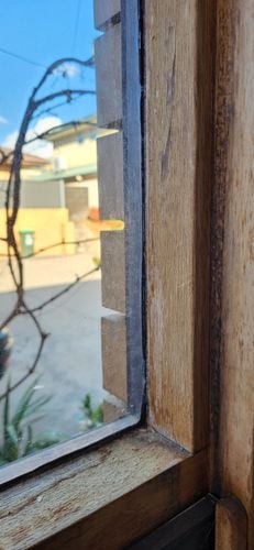 1000027026.jpg 1000027026.jpg