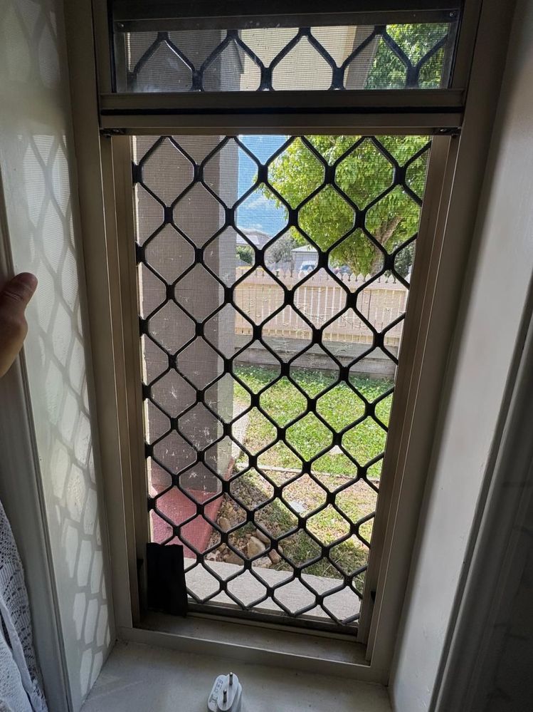 window6.jpeg window6.jpeg