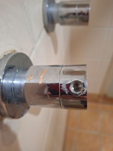 1000039736.jpg 1000039736.jpg