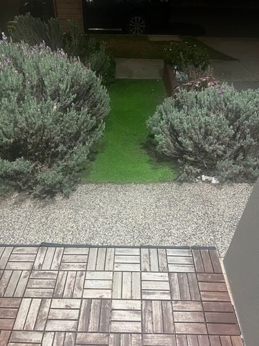 IMG_6749.jpeg IMG_6749.jpeg