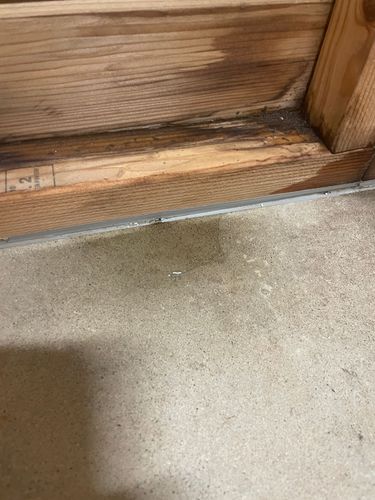 IMG_6257.jpeg IMG_6257.jpeg