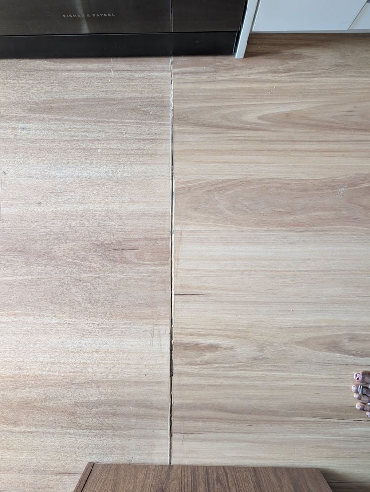 PXL_20260130_203315094.jpg PXL_20260130_203315094.jpg