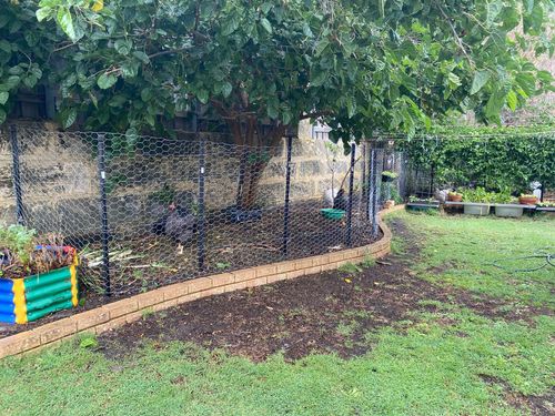 CEC943F4-2EE5-43AE-B4F2-22DFF3BBF201.jpeg CEC943F4-2EE5-43AE-B4F2-22DFF3BBF201.jpeg