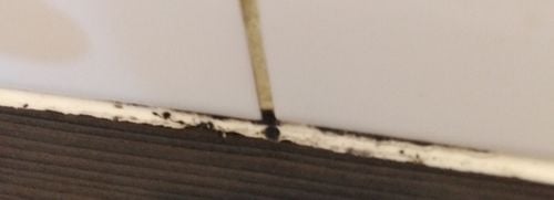 IMG_20210321_191730.jpg IMG_20210321_191730.jpg