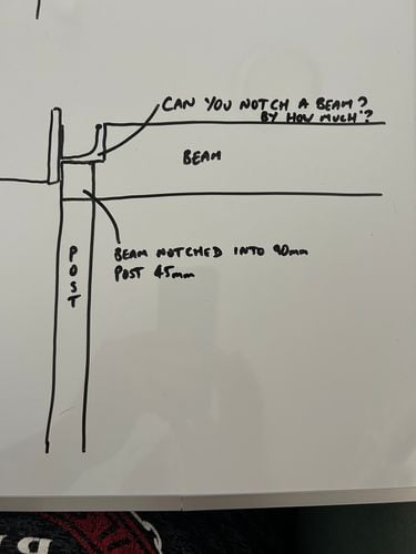 IMG_7303.jpeg IMG_7303.jpeg