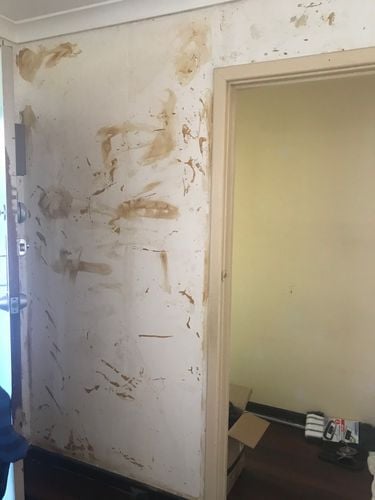 2DF262A4-C968-44AE-A6D6-BAE0CBEBC429.jpeg 2DF262A4-C968-44AE-A6D6-BAE0CBEBC429.jpeg