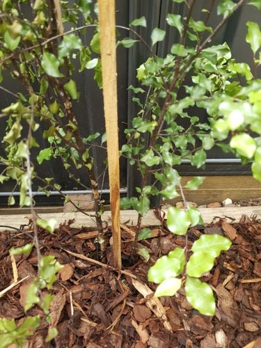 20201029_151535.jpg 20201029_151535.jpg