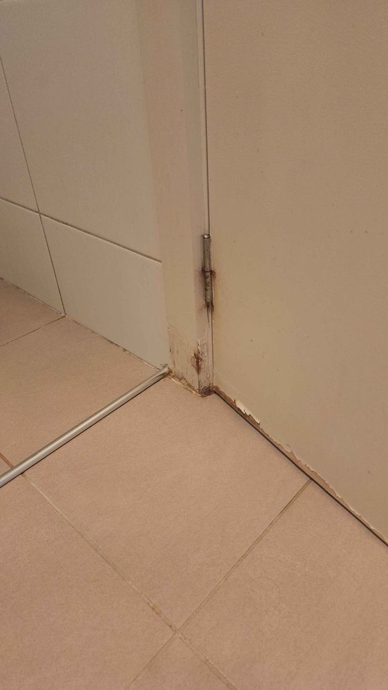 20250208_154701.jpg 20250208_154701.jpg