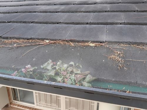 20211227_161216.jpg 20211227_161216.jpg