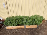 IMG_0778.jpeg IMG_0778.jpeg