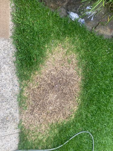 D44A979B-4573-4E89-B6DD-F33CB287C529.jpeg D44A979B-4573-4E89-B6DD-F33CB287C529.jpeg