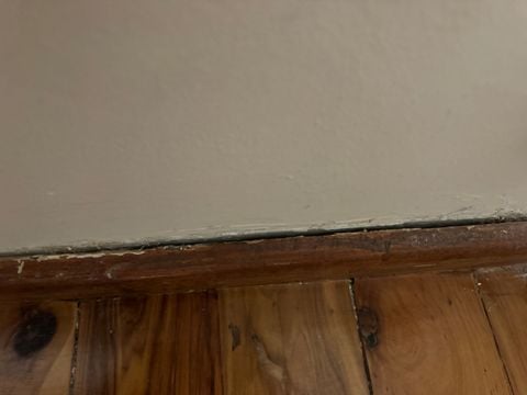 IMG_2239.JPG IMG_2239.JPG