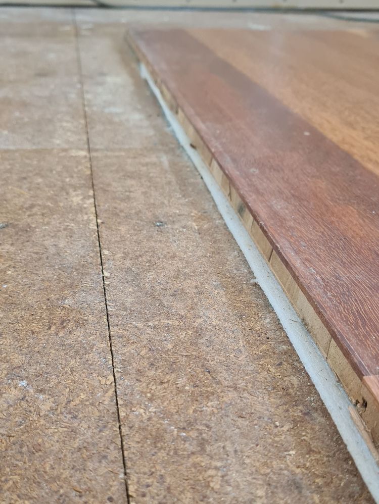 20220405_134611.jpg 20220405_134611.jpg