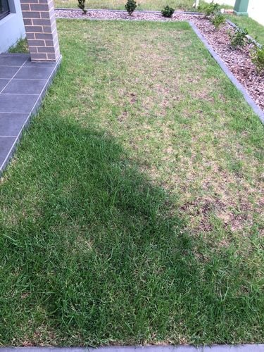 IMG_5165.jpeg IMG_5165.jpeg