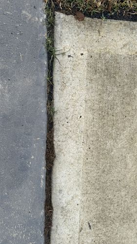 IMG_0147.jpeg IMG_0147.jpeg