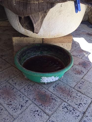 A813BD78-A3DB-4738-8447-70AF40938634.jpeg A813BD78-A3DB-4738-8447-70AF40938634.jpeg