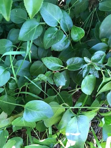 IMG_9819.JPG IMG_9819.JPG