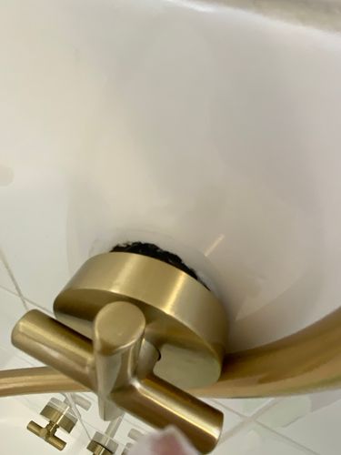 IMG_7135.jpeg IMG_7135.jpeg