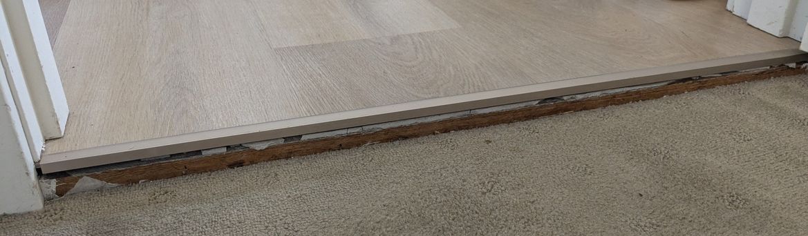 PXL_20250118_002734325.jpg PXL_20250118_002734325.jpg