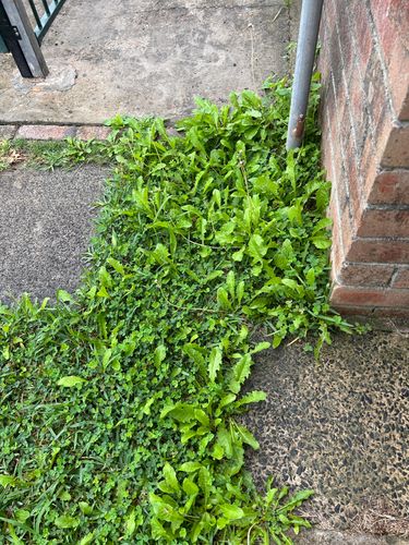 38D7628F-5F8B-4BBC-ABA0-82CC084A7D0D.jpeg 38D7628F-5F8B-4BBC-ABA0-82CC084A7D0D.jpeg