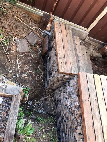 156 06-10-2024.jpg 156 06-10-2024.jpg