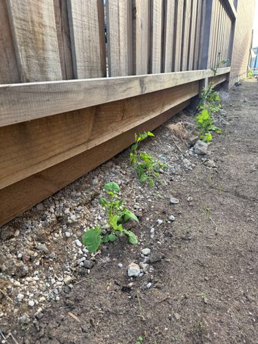 IMG_1513.jpeg IMG_1513.jpeg