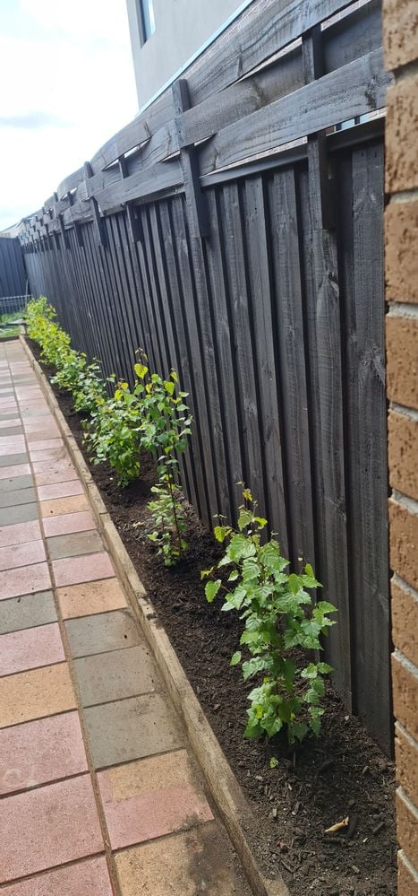 20201031_152734.jpg 20201031_152734.jpg